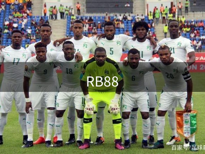 网站概况